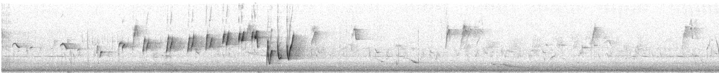 Noisy Scrub-bird - ML646726851