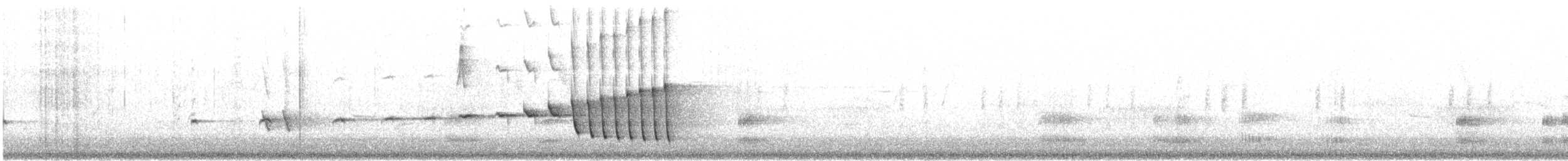 Noisy Scrub-bird - ML646726852