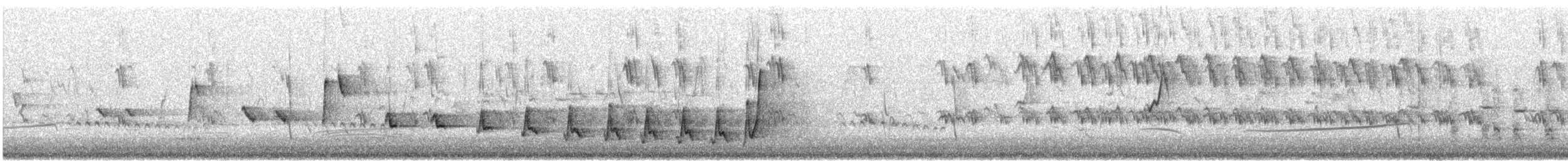 Noisy Scrub-bird - ML646726853