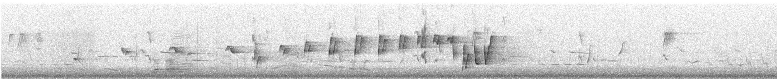 Noisy Scrub-bird - ML646726855