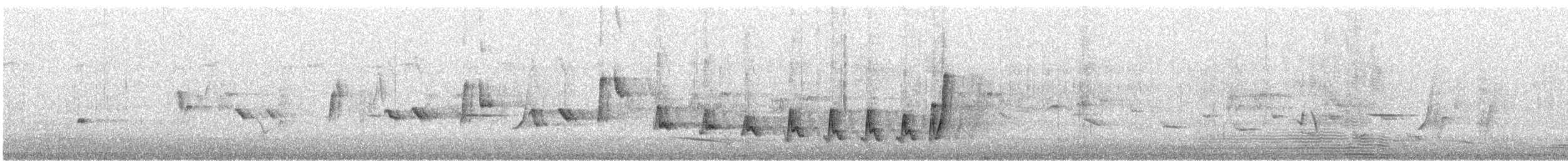 Noisy Scrub-bird - ML646726856