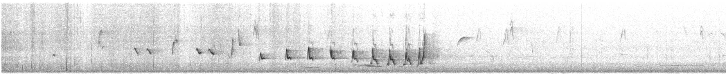 Noisy Scrub-bird - ML646726858