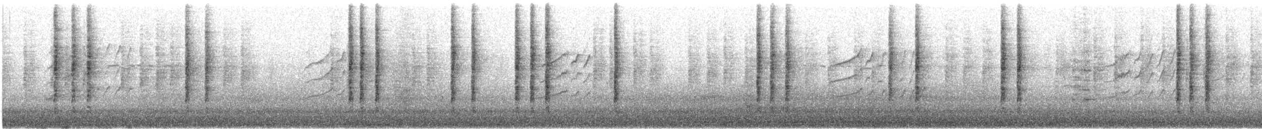 New Holland Honeyeater - ML646726870