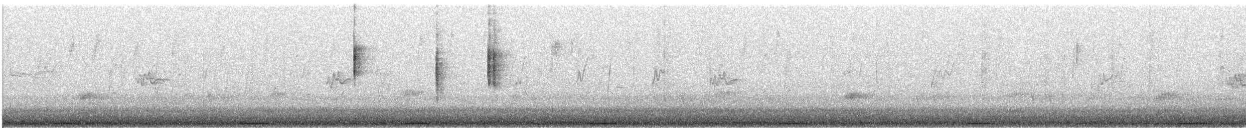 Colombine élégante - ML646726872