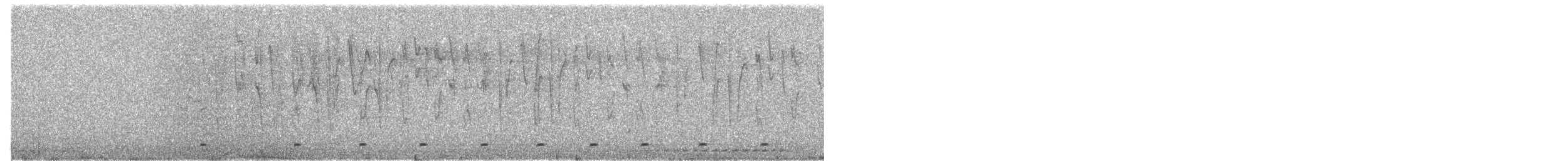 Pinchaflor Negro - ML646726914