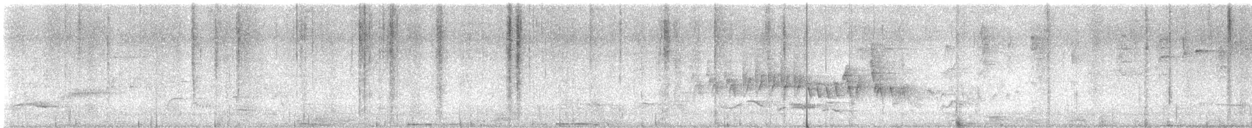 New Zealand Fantail - ML646727052