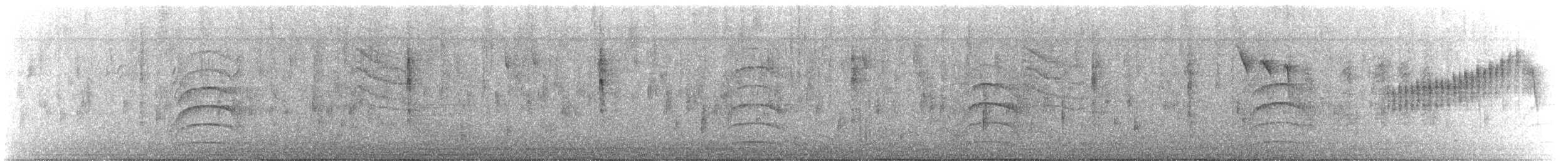 Wilson's Warbler (pileolata) - ML646727056