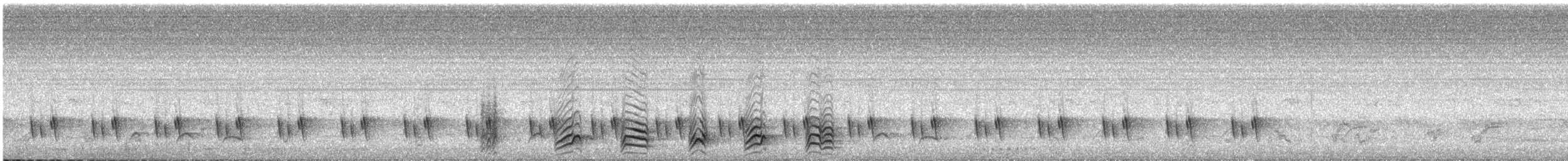 Жовточеревець натальський - ML646727102
