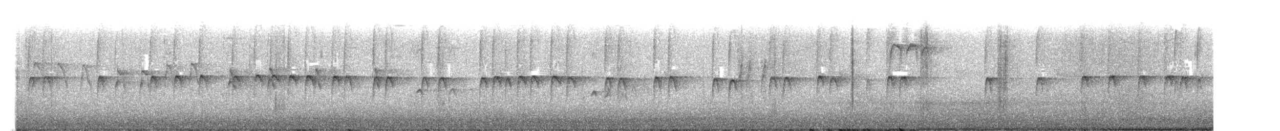 Pygmy Nuthatch - ML646727104
