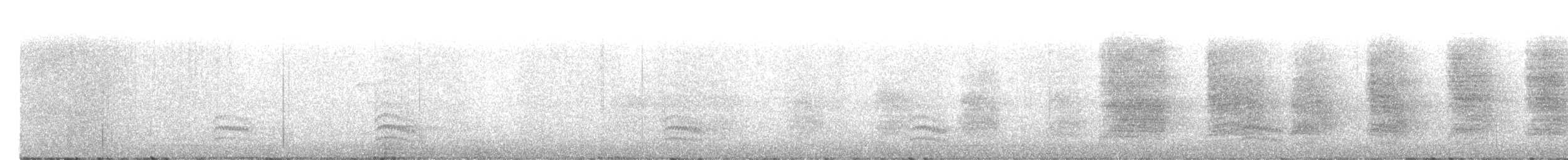 White-breasted Nuthatch (Pacific) - ML646727120