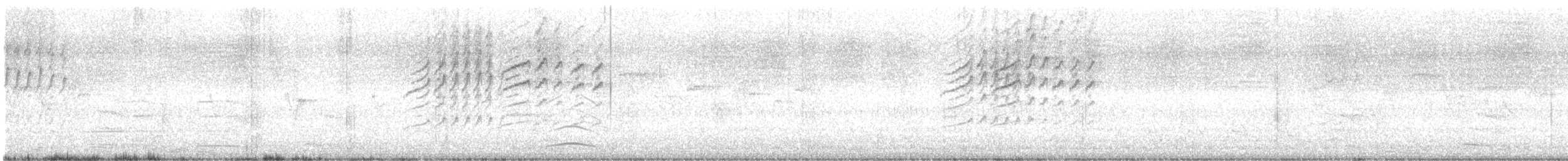 Silvereye - ML646727137