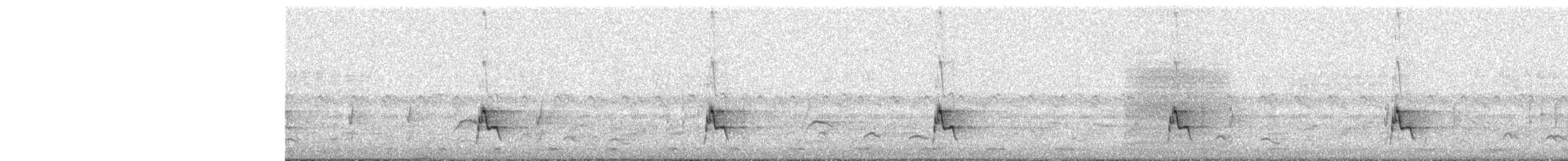 Зебринка міомбова - ML646727152