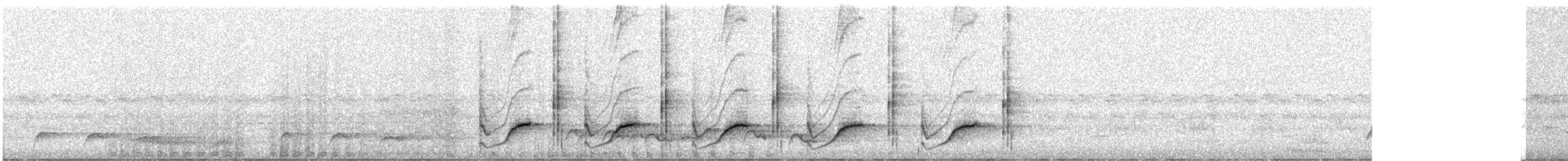 Кубла строката - ML646727159