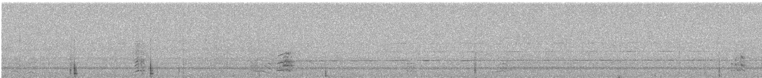 brunhornfugl - ML646727162