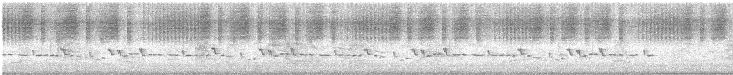 Gray Gerygone - ML646727187