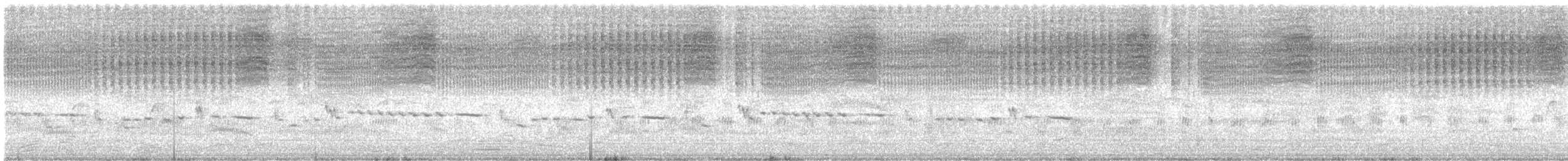 Gray Gerygone - ML646727188