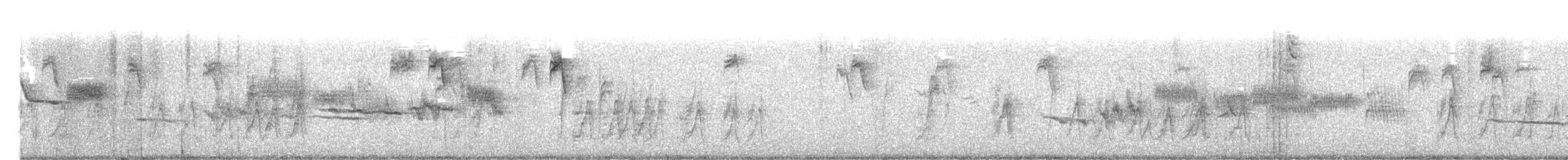 White-crowned Sparrow (Gambel's) - ML646727206