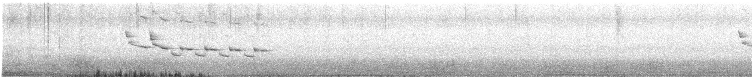 Tomtit - ML646727282