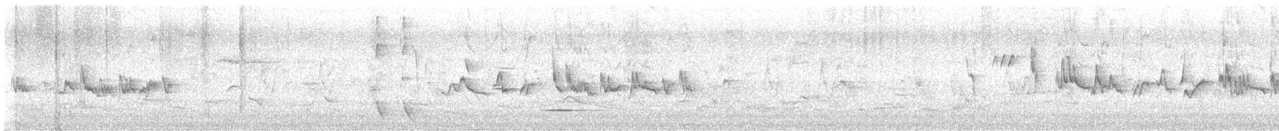 Silvereye - ML646727385