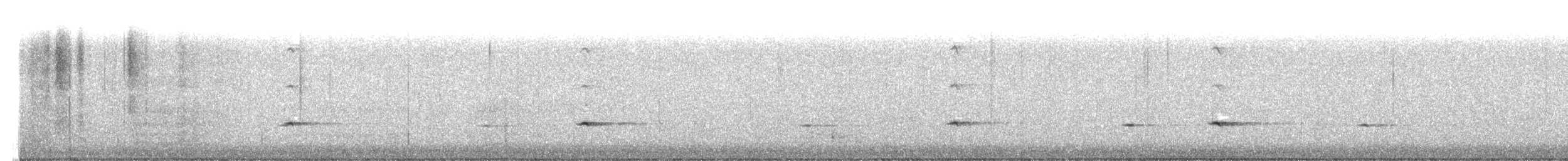 Townsend's Solitaire - ML646727403