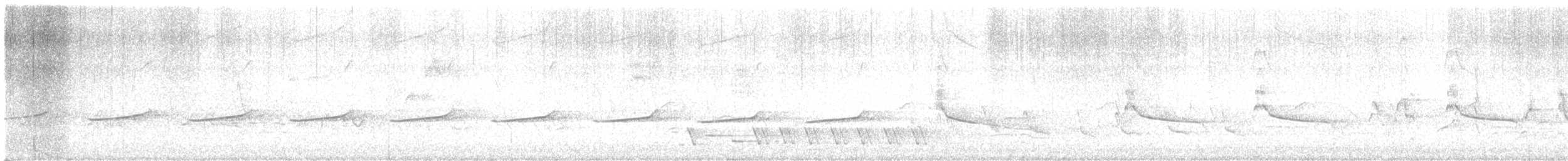 Shining Bronze-Cuckoo - ML646727404