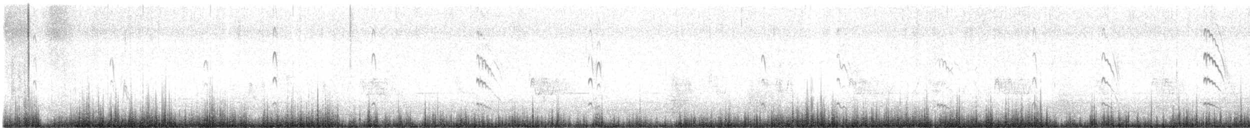 Black-fronted Tern - ML646727443