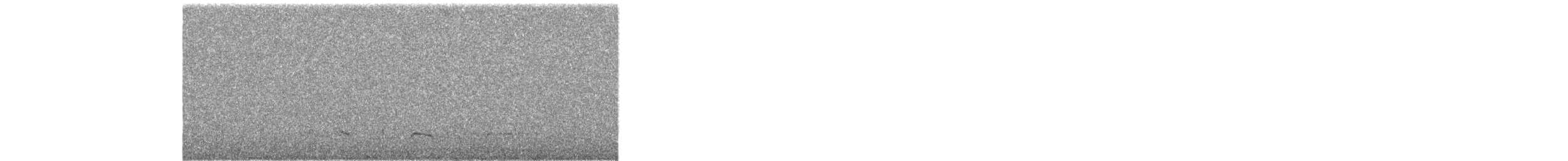 Tawny Antpitta - ML646727614