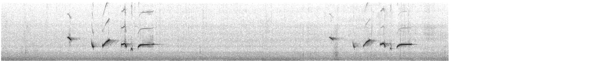 Western Bristlebird - ML646727642