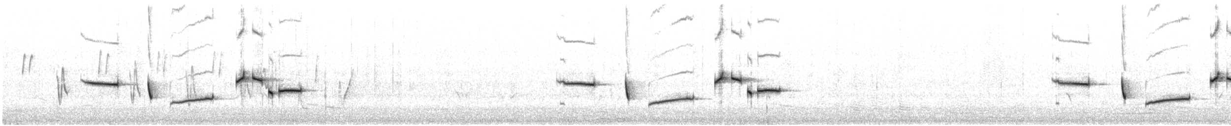 Western Bristlebird - ML646727643