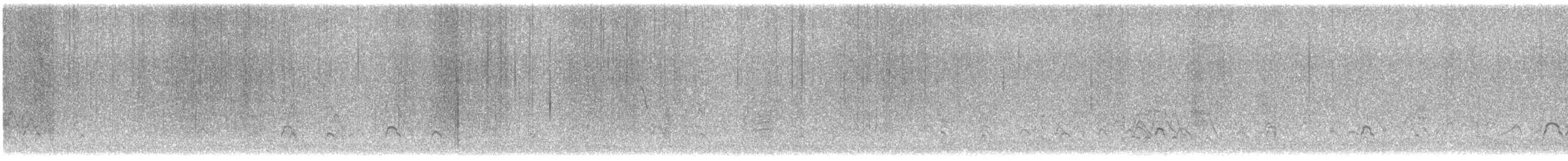 American Wigeon - ML646727752