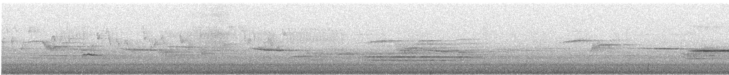 Mérgulo Jaspeado Americano - ML646728070