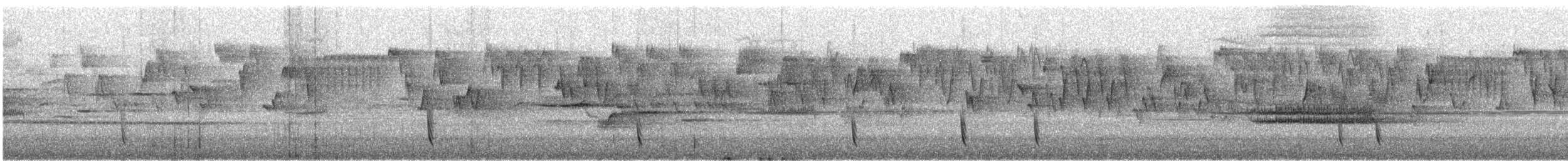 Zorzal Pinto - ML646728072