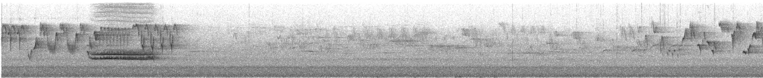 Zorzal Pinto - ML646728073