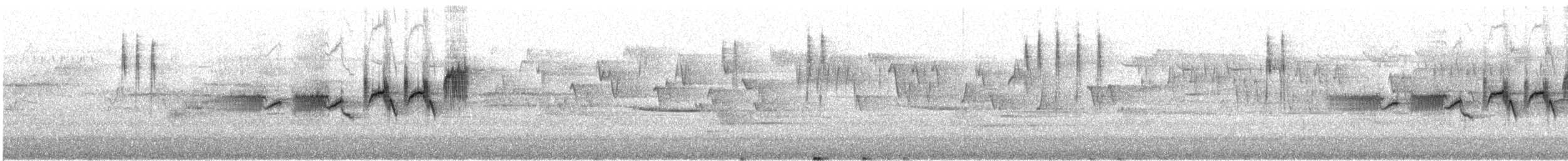 Reinita de Townsend - ML646728075