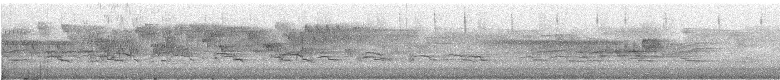 Mérgulo Jaspeado Americano - ML646728100