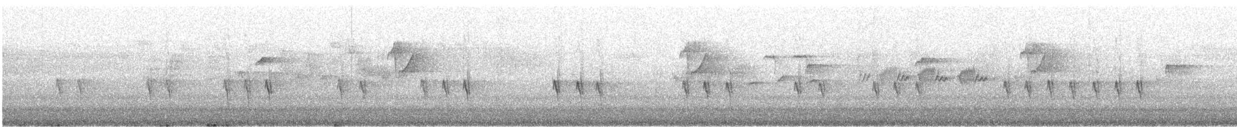 Piquituerto Común - ML646728108