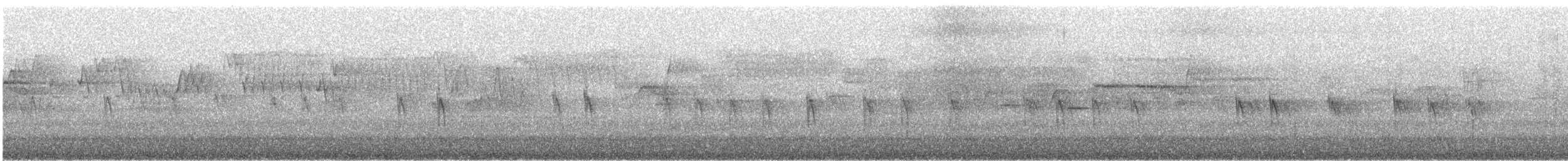 Piquituerto Común (tipo 3) - ML646728110