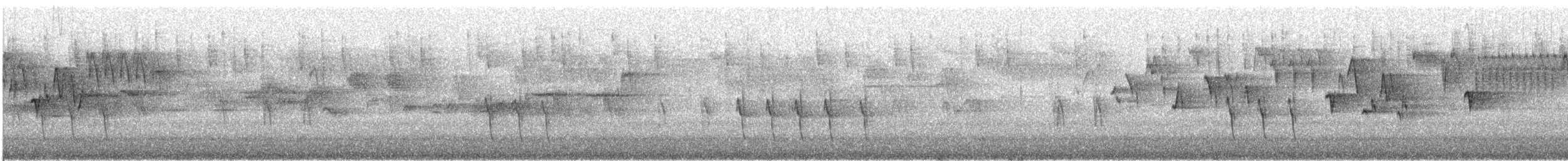 Piquituerto Común - ML646728111