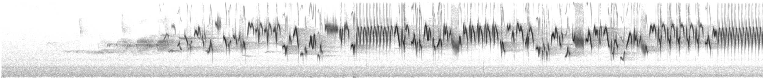 Chochín del Pacífico - ML646728113