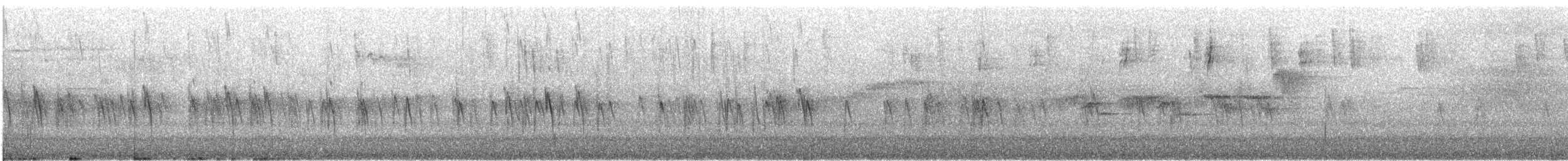 Piquituerto Común (tipo 3) - ML646728117