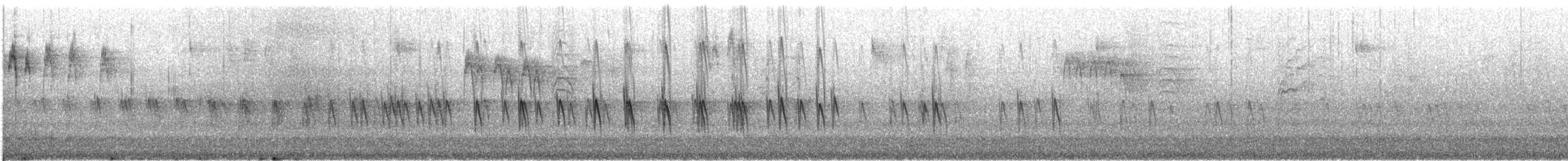 Piquituerto Común (tipo 3) - ML646728130