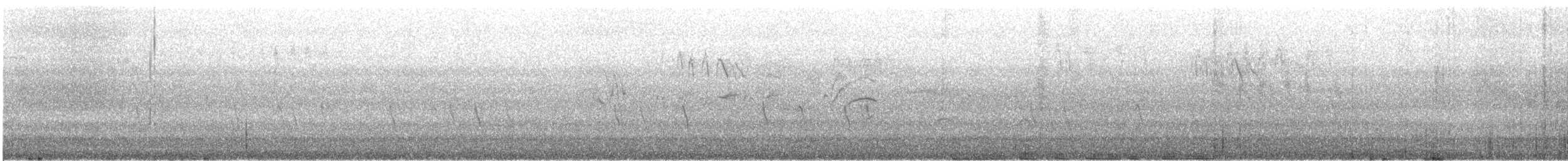 Piquituerto Común - ML646728143