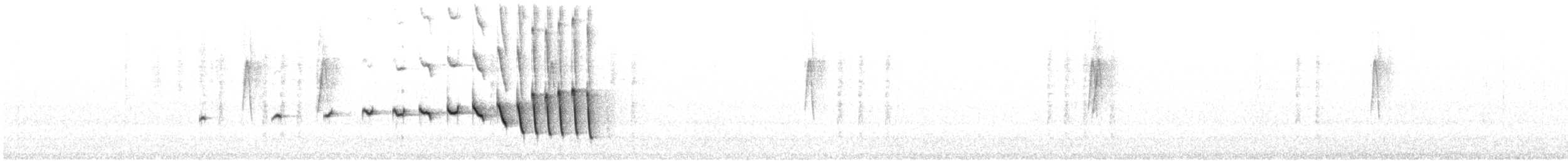 Noisy Scrub-bird - ML646728160