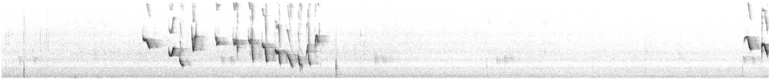 Noisy Scrub-bird - ML646728164