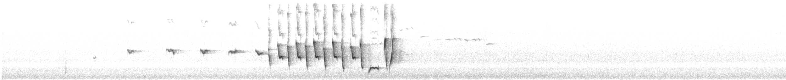 Noisy Scrub-bird - ML646728241