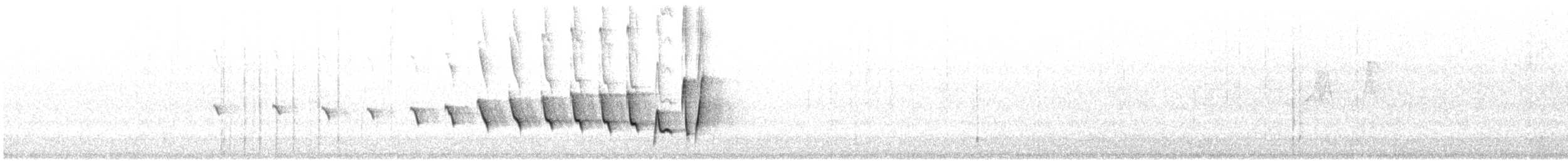 Noisy Scrub-bird - ML646728247