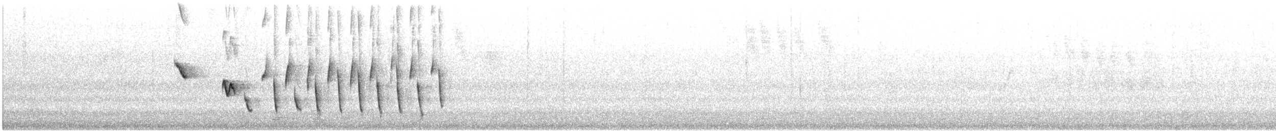 Noisy Scrub-bird - ML646728248