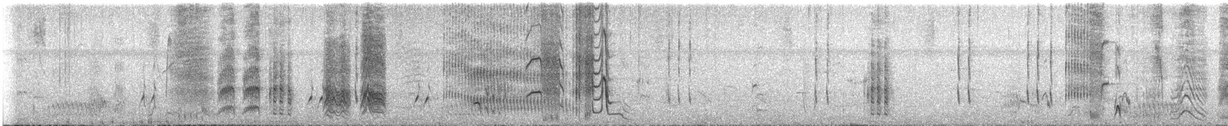 Yellow-rumped Cacique - ML646728350