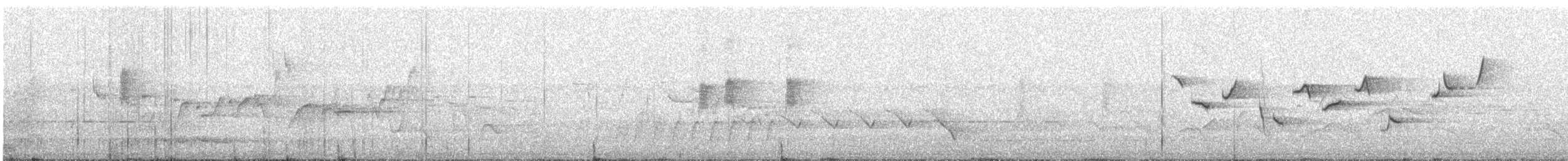 Speckled Warbler - ML646728397