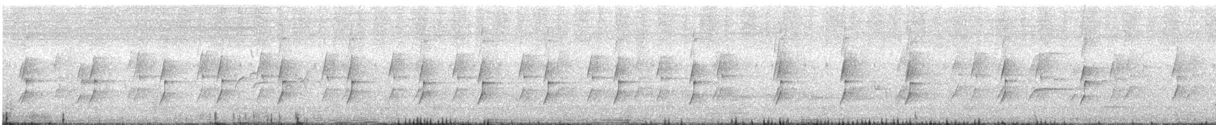 Noisy Miner - ML646728415